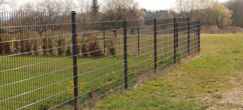 Wire Fence Replacement